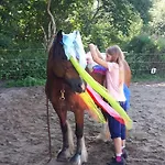 Und Reittherapie Deichwind - Nordfriesland - 2 Haeuser 別荘 *