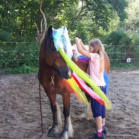 Und Reittherapie Deichwind - Nordfriesland - 2 Haeuser 度假居 *