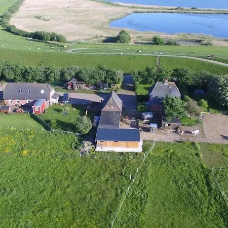 Holiday home Und Reittherapie Deichwind - Nordfriesland - 2 Haeuser